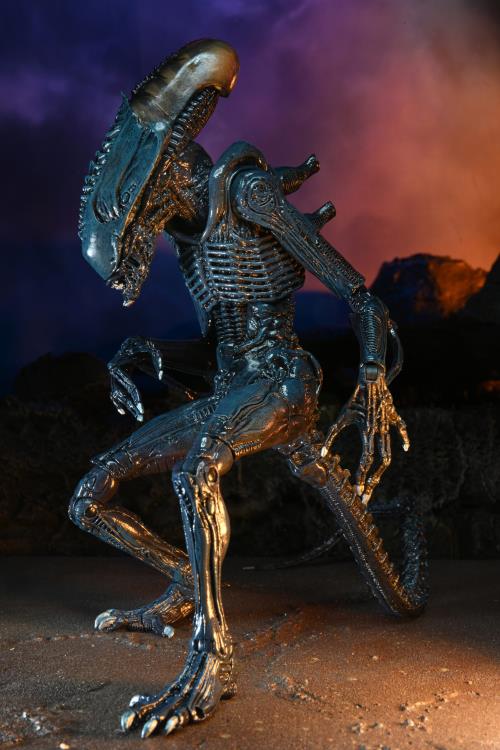 NECA Alien vs Predator - Alien aracnoide Movie Deco