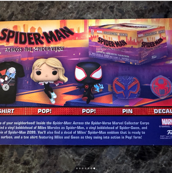 Marvel Collector Corps Spiderman Across The Spiderverse Talla L