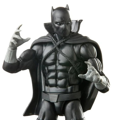 Hasbro Marvel Legends Black Panther Wakanda Forever Black Panther