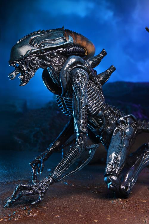 NECA Alien vs Predator - Alien aracnoide Movie Deco