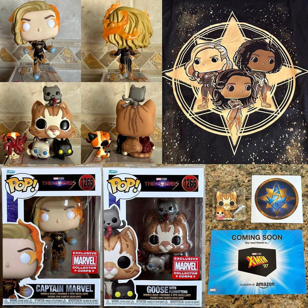 Funko Collector Corps Exclusive The Marvels
