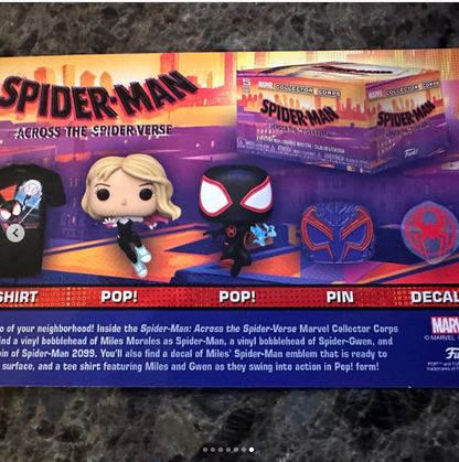 Marvel Collector Corps Spiderman Across The Spiderverse Talla S